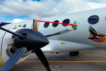 Bird strike substantially damaged the plane