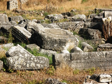 ����� �� ����� ����� ���� �. �����, ���. ������